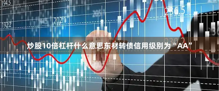 炒股10倍杠杆什么意思东材转债信用级别为“AA”