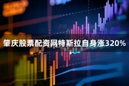 肇庆股票配资网特斯拉自身涨320%