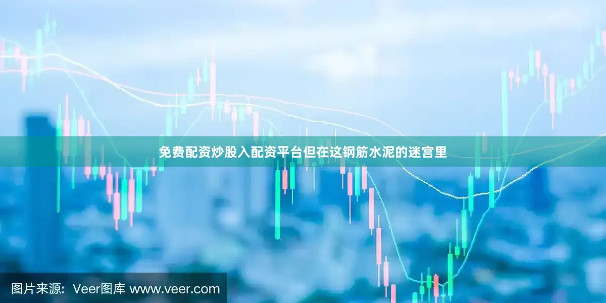 免费配资炒股入配资平台但在这钢筋水泥的迷宫里