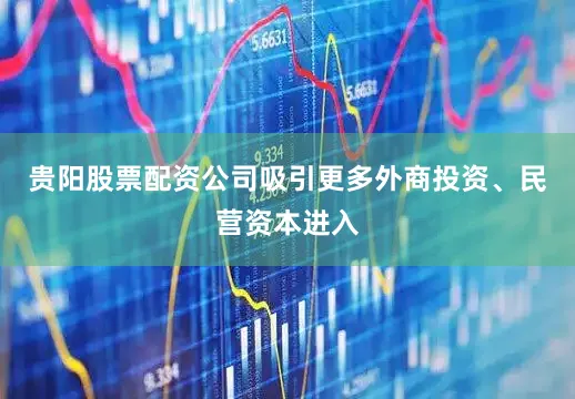 贵阳股票配资公司吸引更多外商投资、民营资本进入
