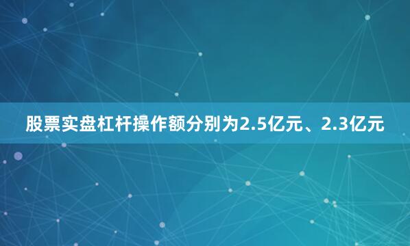 股票实盘杠杆操作额分别为2.5亿元、2.3亿元