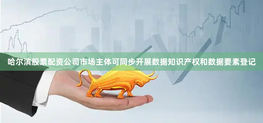 哈尔滨股票配资公司市场主体可同步开展数据知识产权和数据要素登记