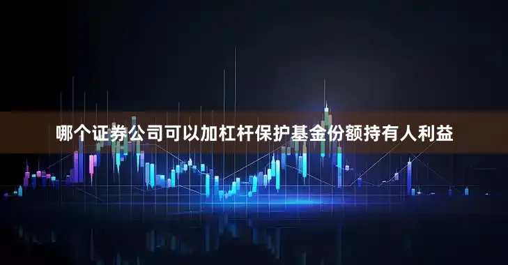 哪个证券公司可以加杠杆保护基金份额持有人利益